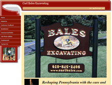 Tablet Screenshot of carlbales.com